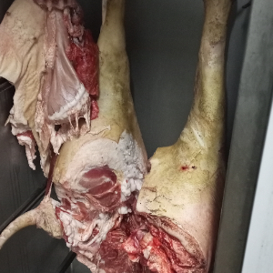 Côte de Bœuf Premium 1